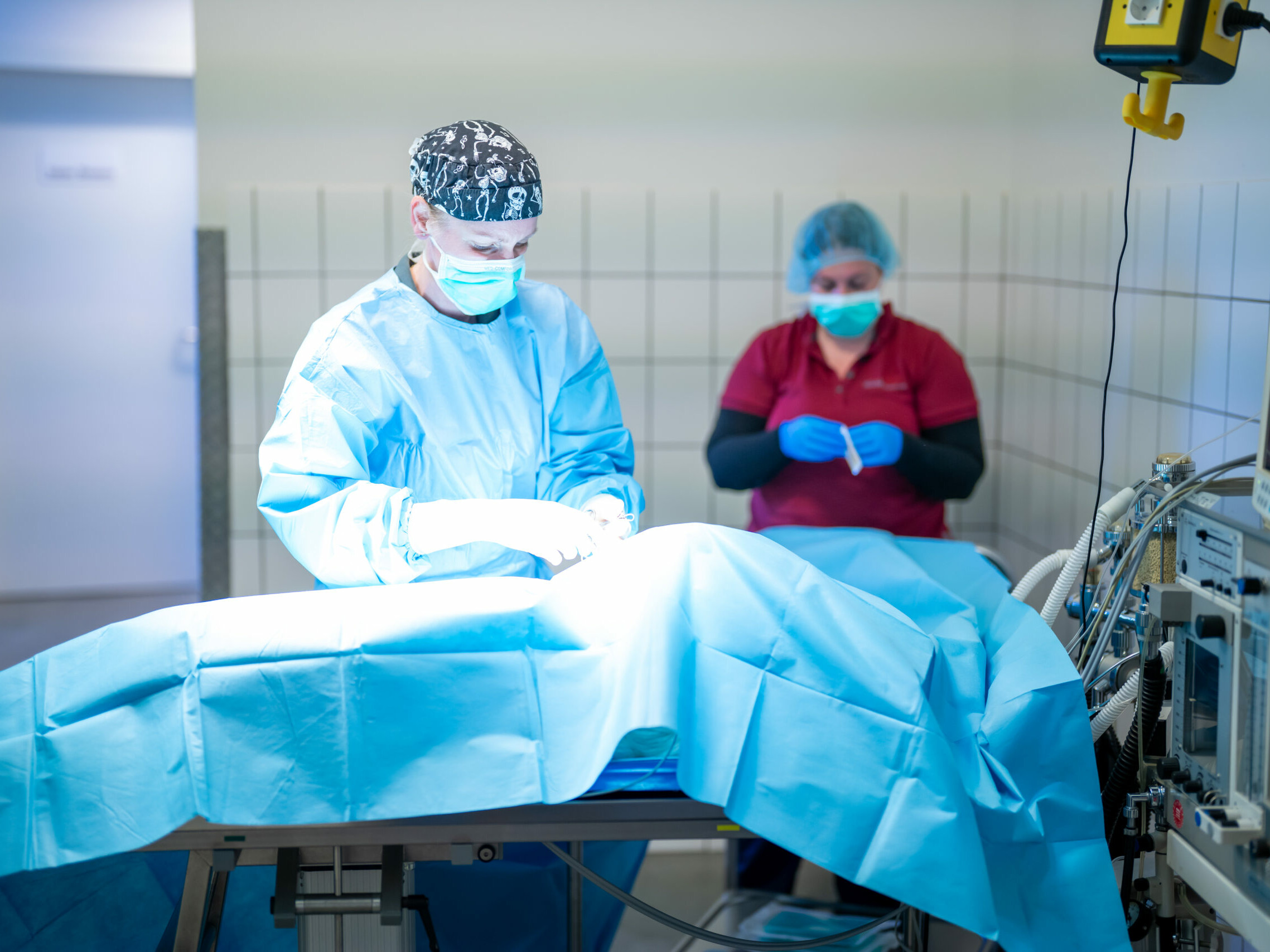 Tierärztin und Tiermedizinische Fachangestellte gemeinsam im Kleintier-OP