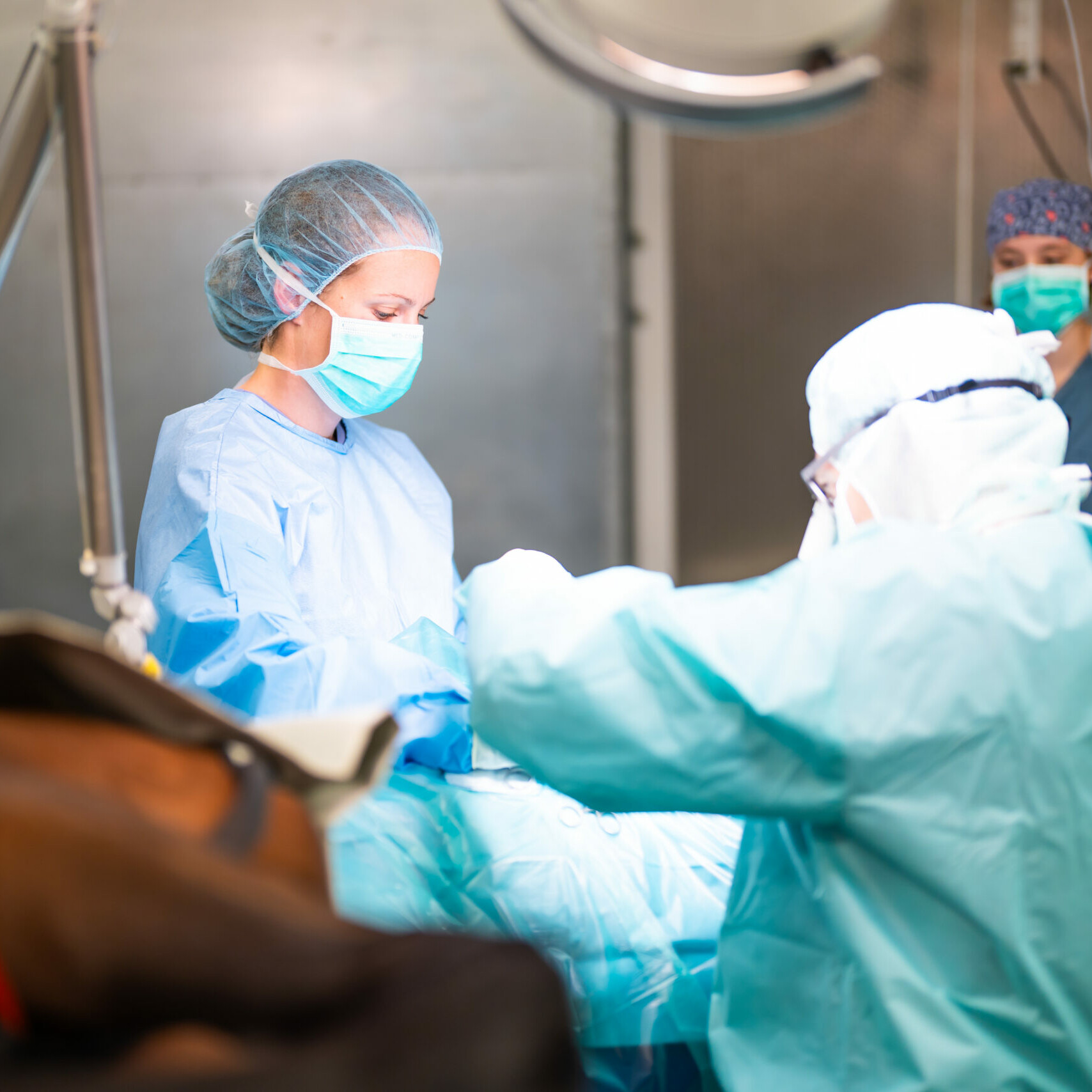 Einblick in den Pferde-OP: drei Personen in OP-Kleidung sind zu sehen