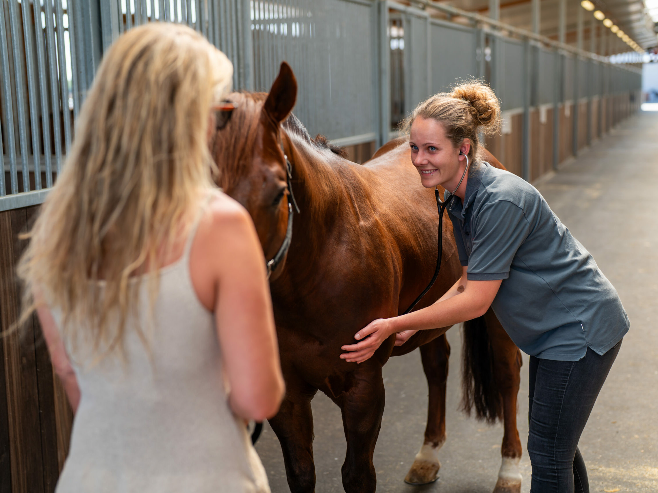 Tierärztin Levinia Zimmermann hört das Herz eines Pferdes für einen Gesundheitscheck ab