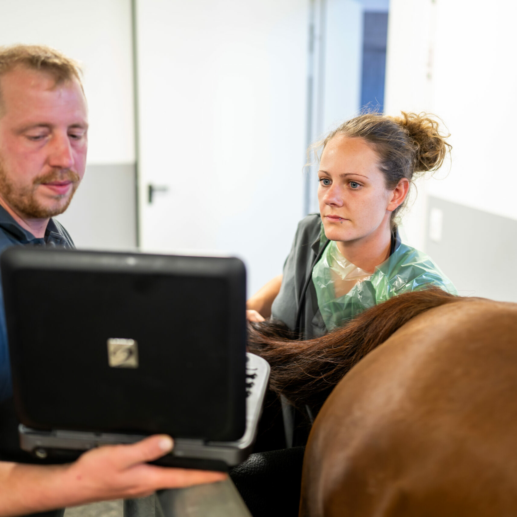 Eine Tierärztin führt eine rektale Untersuchung im Rahmen der gynäkologischen Untersuchung durch und betrachtet dafür den Ultraschallbildschirm, welcher von einem Mitarbeiter gehalten wird.