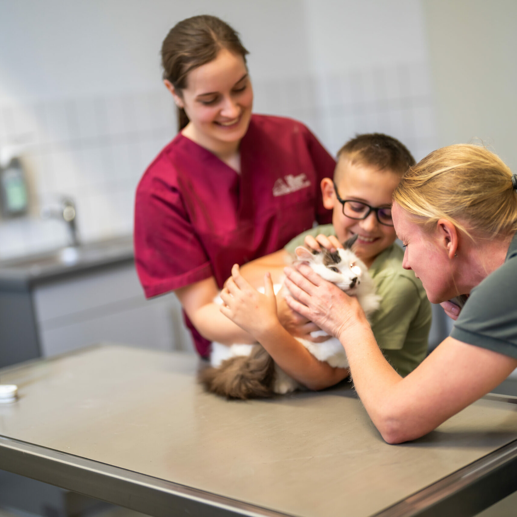 Augenuntersuchung bei einer Katze, die dabei von einem Jungen und der Tiermedizinischen Fachangestellten gehalten wird.