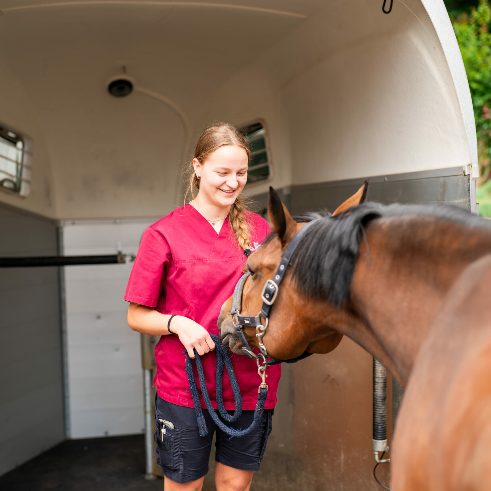 Ein Pferd wird auf den Anhänger gebracht