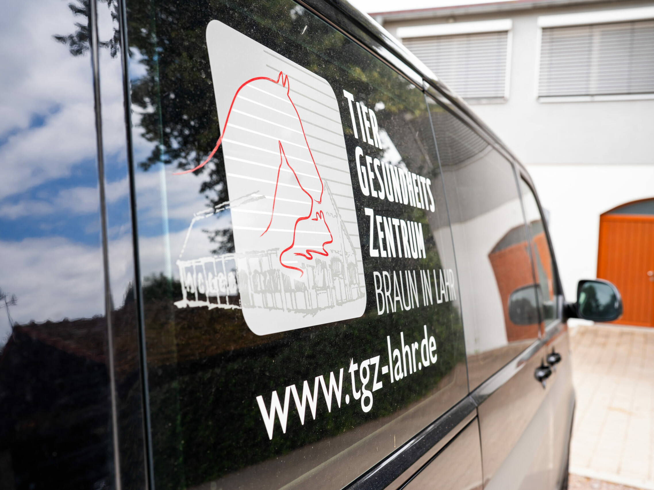 Detailaufnahme des Schriftzuges der Praxis auf dem Praxisauto