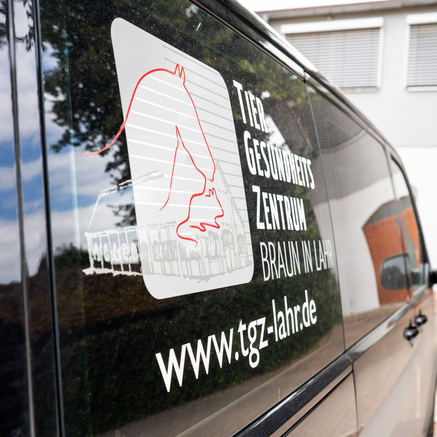 Detailaufnahme des Schriftzuges der Praxis auf dem Praxisauto