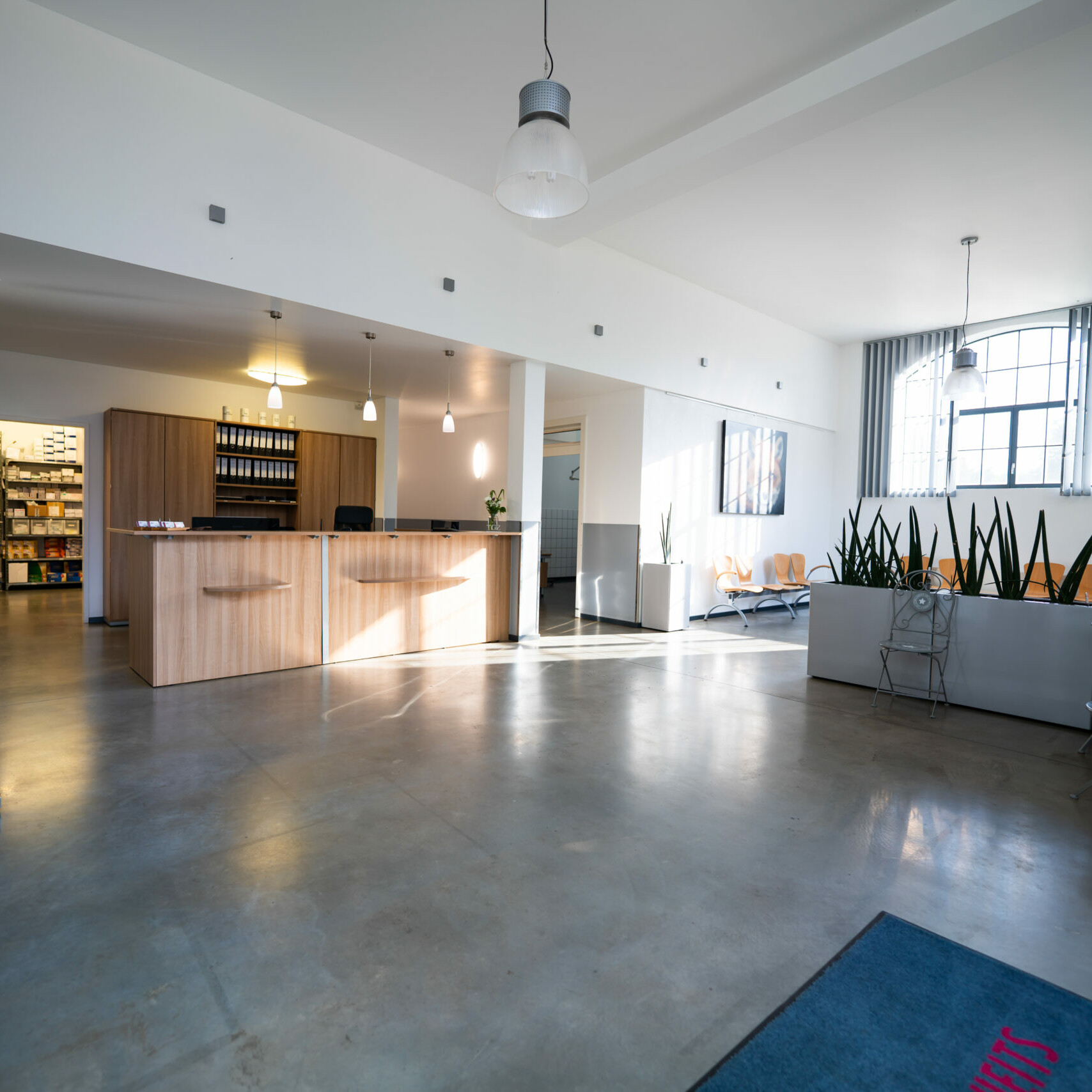 Einblick in den Eingangsbereich der Praxis