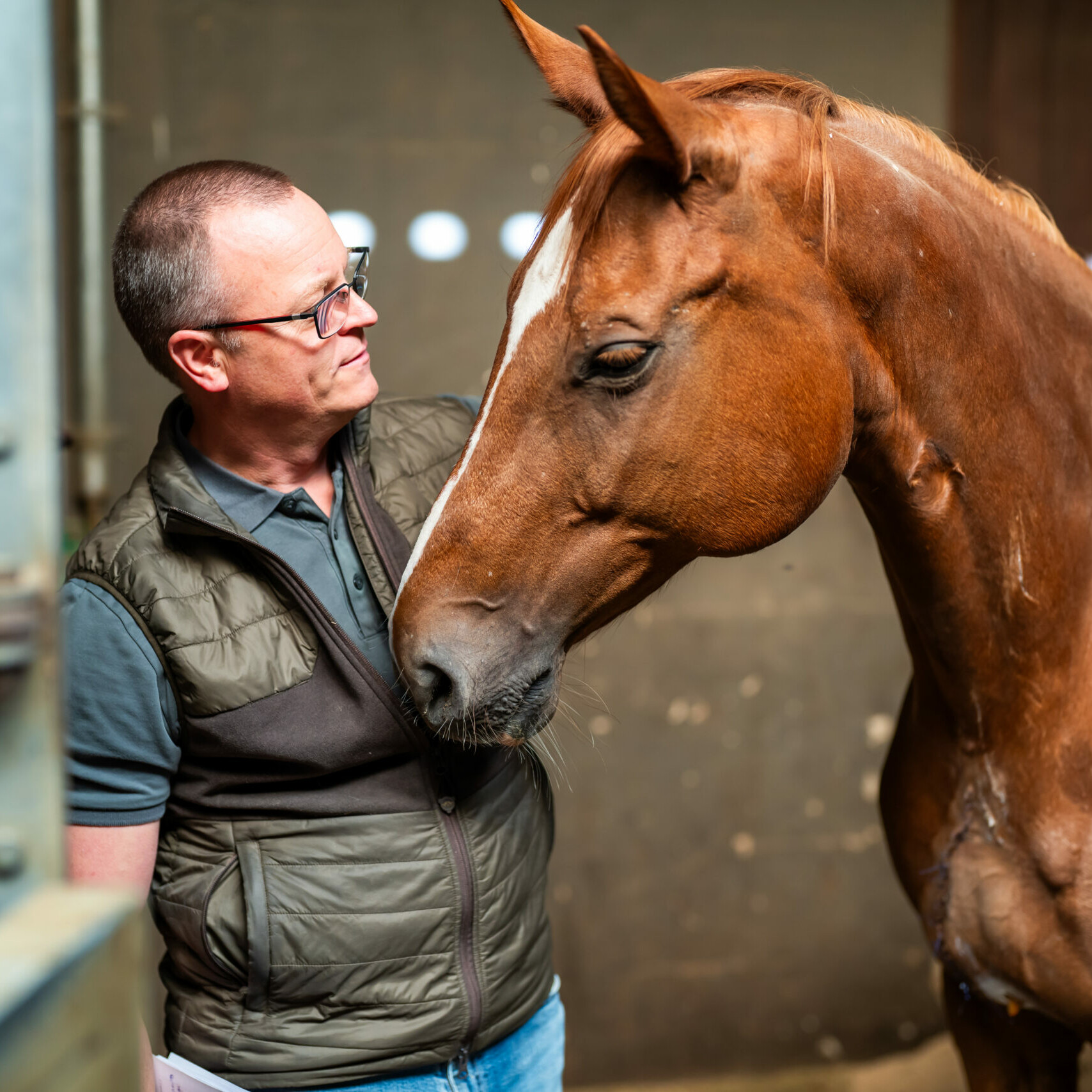 Tierarzt Roman Braun und ein fuchsfarbenes Pferd nehmen Kontakt miteinander auf